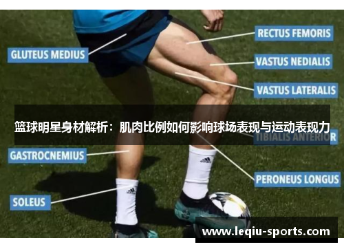 篮球明星身材解析：肌肉比例如何影响球场表现与运动表现力